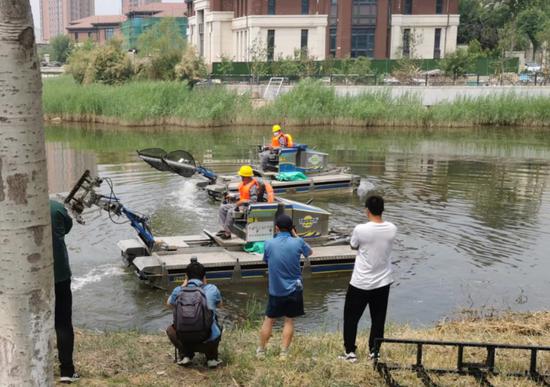 6月11日，天津西青区津门湖水系生态修复工程开工，工作人员驾驶全自动保洁船清理河道漂浮物。 庞喻文 摄