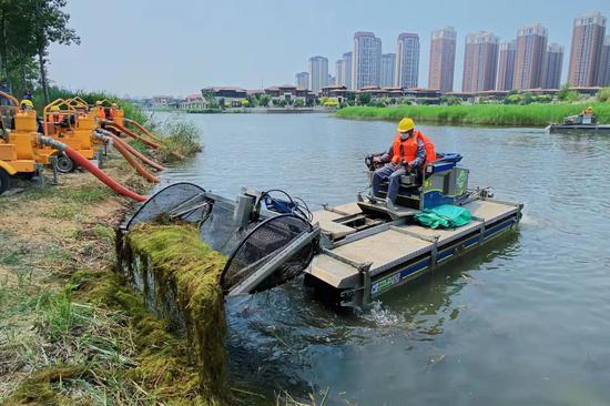 6月11日，天津西青区津门湖水系生态修复工程开工，工作人员驾驶全自动保洁船清理河道漂浮物。 佟郁 摄