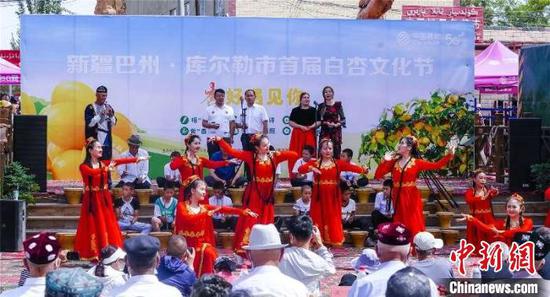 11日，新疆库尔勒市首届白杏文化节开幕。　黄万里　摄