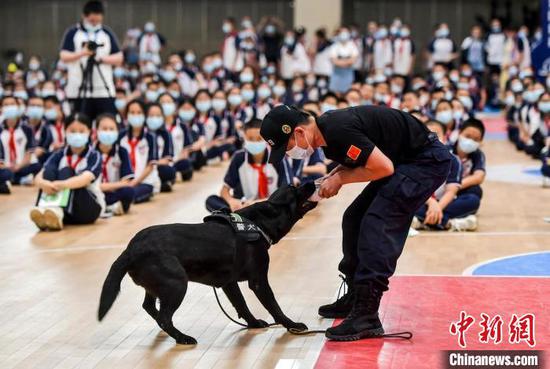 缉毒犬成功搜索到毒品后，训导员与缉毒犬进行互动游戏，以示奖励。　刘新 摄