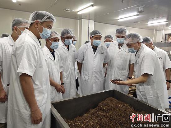 6月14日，金秀县考察团赴深圳市和顺本草药业有限公司考察调研。黄斌  摄