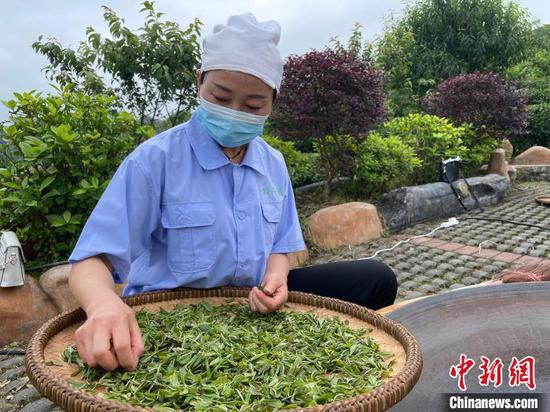 贵州丹寨：荒山种出致富茶 智慧管理全覆盖