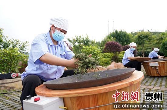 6月16日，茶艺师在贵州省黔东南苗族侗族自治州丹寨县龙泉镇马寨茶园现场演示炒茶工艺。