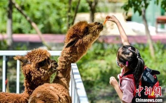 乌鲁木齐：萌宠乐园吸引小朋友与动物亲密互动