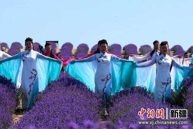 霍城县薰衣草基地可欣赏到歌舞表演以及网红直播带货等众多环节。 