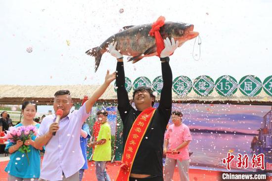 重达70斤的鳙鱼以11.7万元落槌。　博湖县县委宣传部供图