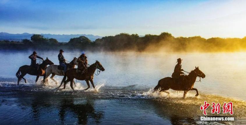 Horses gallop across Tekes River in Zhaosu County, Kazak Autonomous Prefecture of Ili, northwest China's Xinjiang Uyghur Autonomous Region, June 20, 2022. (Photo: China News Service/Li Zhongming)

