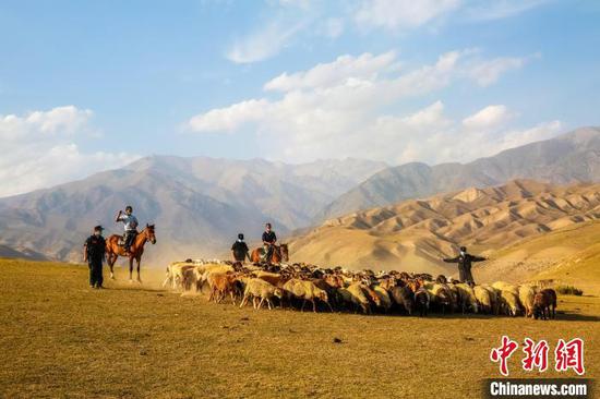 新疆民警護航牧民及羊群安全轉場