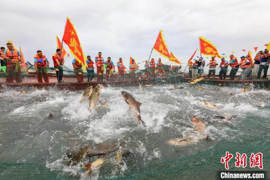 巨网捕鱼让游客欣赏了一场捕鱼“大秀”。　博湖县县委宣传部供图