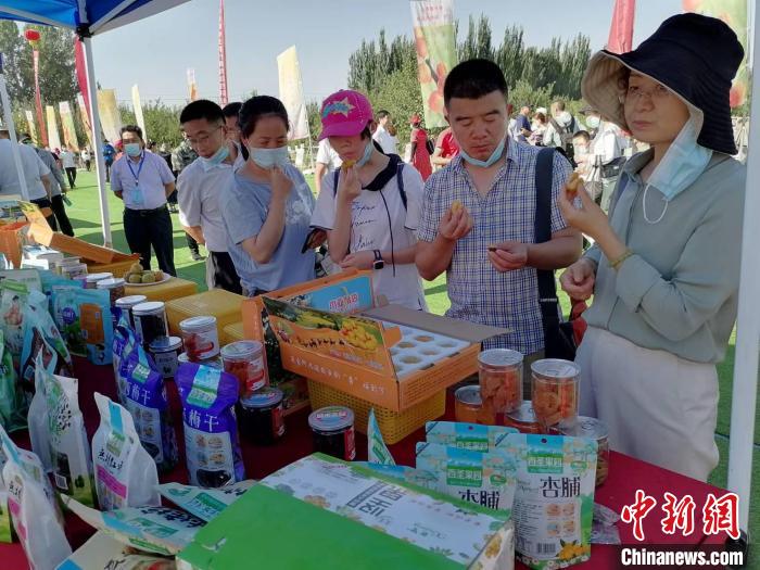 新疆喀什地区赛杏会26日在中国杏子种植面积最大区域英吉沙县举行。　朱景朝　摄
