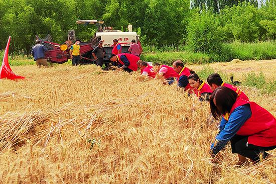 国网疏附县供电公司志愿服务队在吾库萨克镇开展“助力‘三夏’农业生产”主题党日活动。