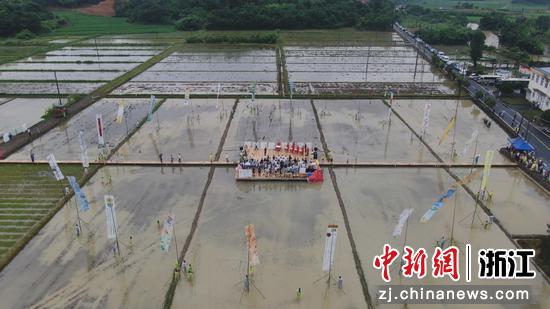 “父亲的水稻田”项目基地一景（无人机照片）。  俞国文 摄