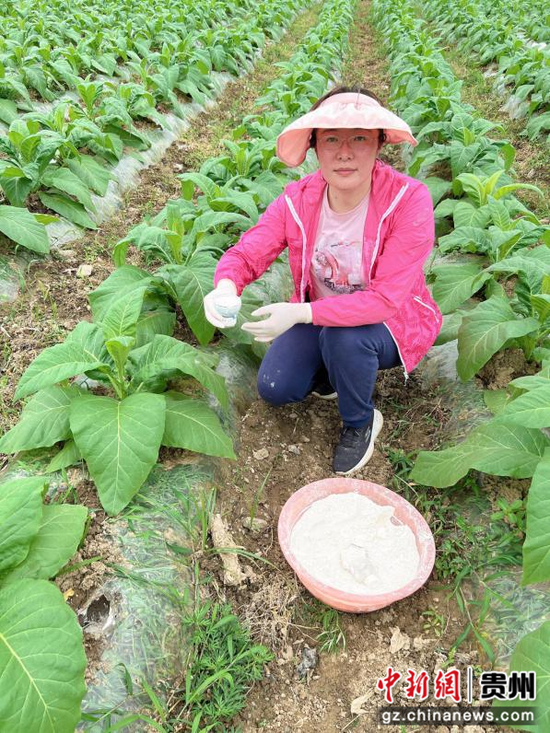 贵州土壤专家刘艳霞：把论文写在大地上