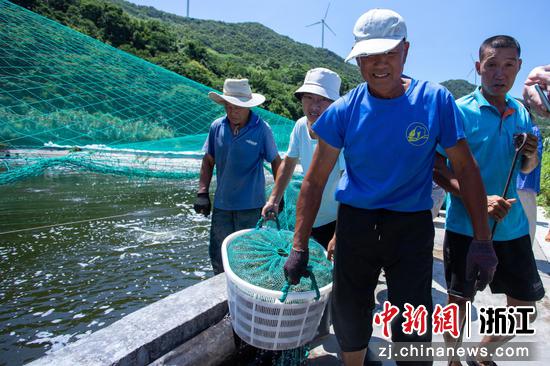 渔民提着刚刚捕捞的活虾 傅旭涛 摄