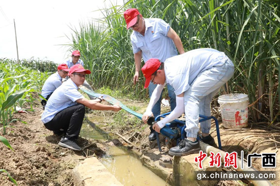 图为生产农务党员骨干在使用抽水泵为受灾甘蔗地排涝 南宁糖业供图