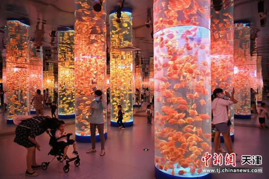 游客在津悦城升泰海底世界参观游玩。 佟郁 摄