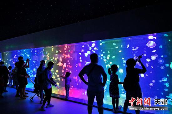 游客在津悦城升泰海底世界参观游玩。 佟郁 摄