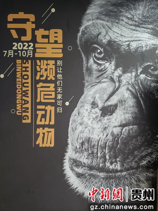 《守望——濒危动物》在贵州省地质博物馆开展