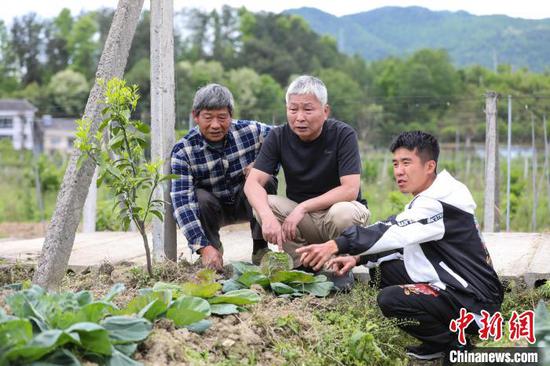 “85后”台青的贵州“新农人”生活