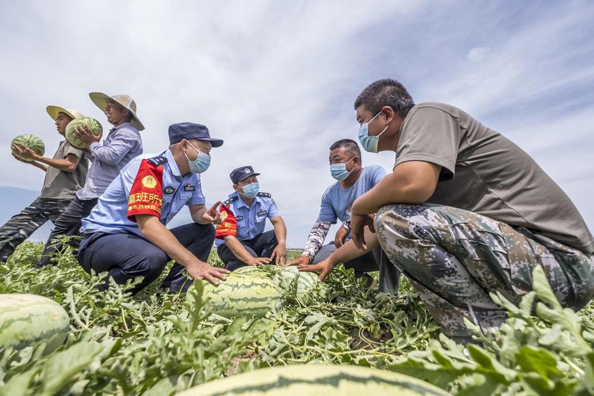 民警在田间地头向瓜农进行爱路护路法治宣传。