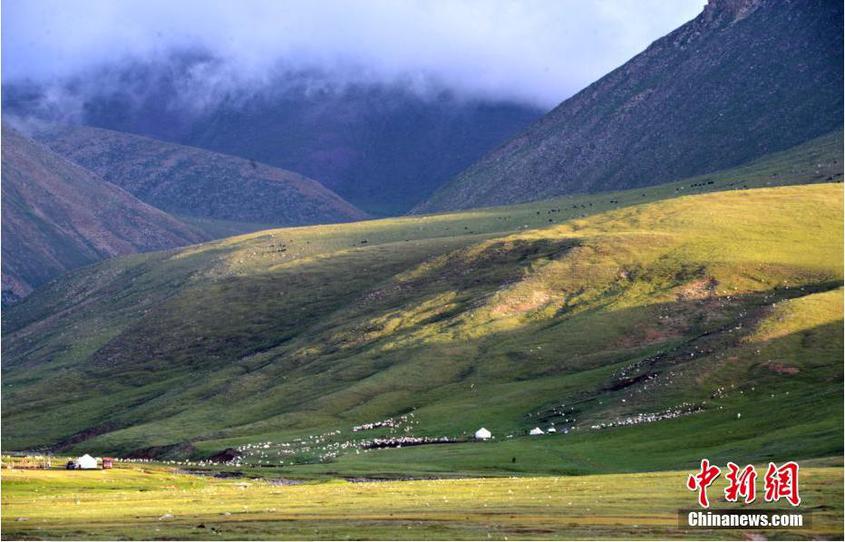进入7月，美丽的新疆巴音布鲁克草原上，蓝天白云相依，牛羊山间漫步，悠然自得。季节的轮回，草原上美景、如同星星的牛羊、璀璨的夜空、清凉等都让人流连忘返。确·胡热 摄