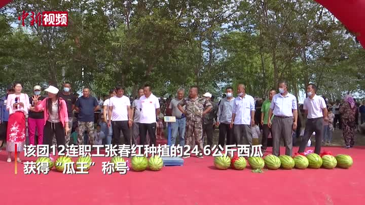 新疆兵團團場種出24.6公斤西瓜獲封“瓜王”