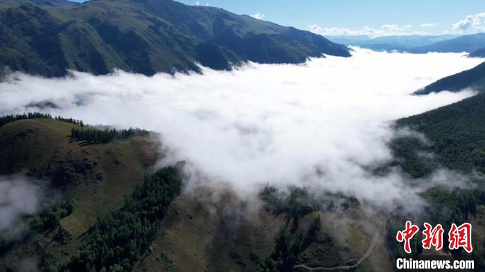 新疆喀纳斯景区现云海景观犹如仙境。　波拉提别克　摄