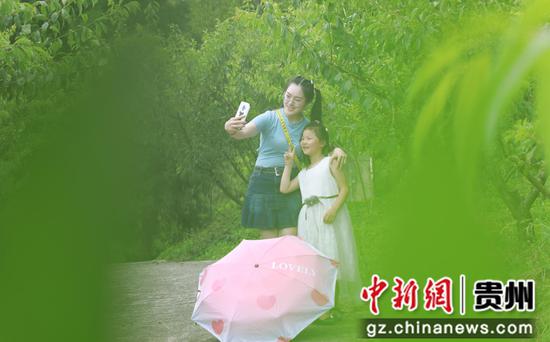 7月24日，游客在大方县顺德办事处白石村迎庆桃李山庄拍照打卡。周训贵 摄