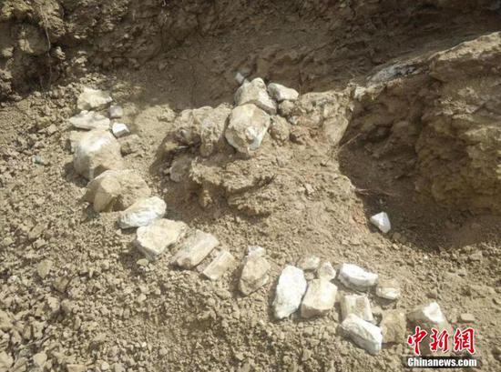 新疆温泉县发现八百万年前三趾马动物群化石