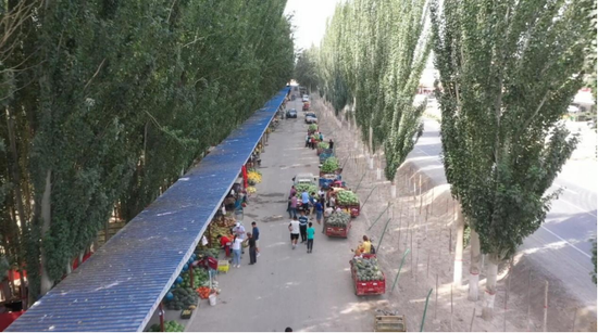 新疆库车市发展特色产业助力乡村振兴