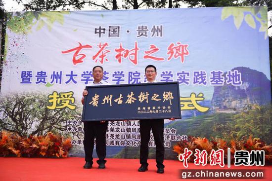 桐梓县尧龙山镇被贵州省茶叶协会授予“贵州省古茶树之乡”称号。