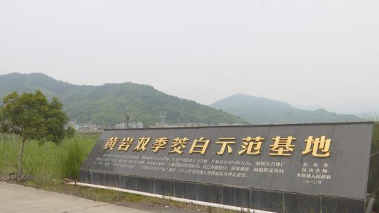 台州市黄岩区双季茭白示范基地