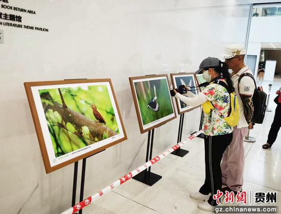 首届贵州野生生物摄影作品展在贵州省图书馆开展
