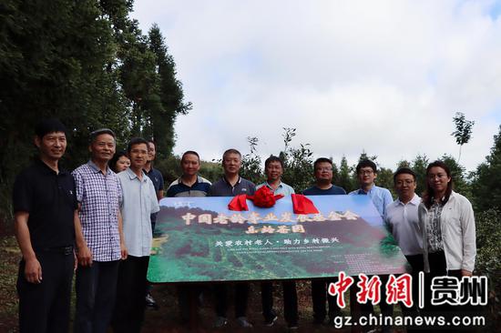 中国老龄事业发展基金会到黔西南州考察乐龄茶园项目