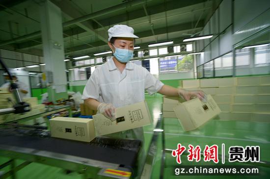 工人在绥阳县金蕾公司包装金银花“朵花茶”。