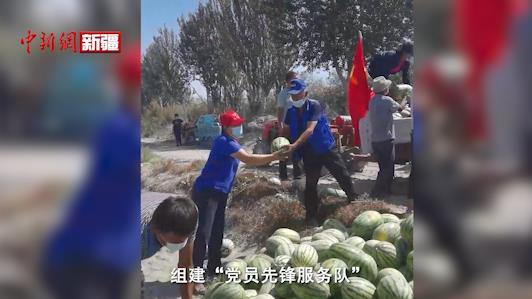  新疆民警下地“摘西瓜” 5小時解決溫宿瓜農后顧之憂