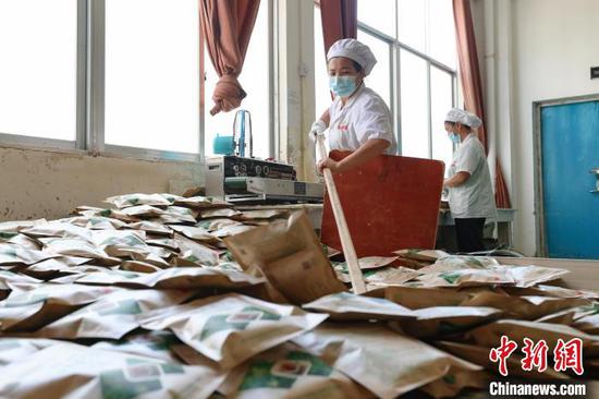 一位工人在整理待出厂的小叶苦丁茶。　瞿宏伦 摄