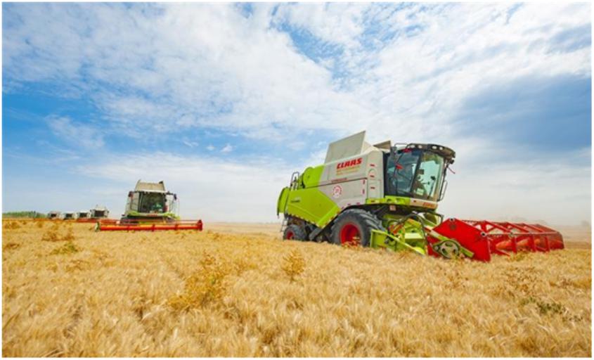　　昌吉州农机合作服务联盟的小麦联合收获机在收获小麦。何龙 文/图

