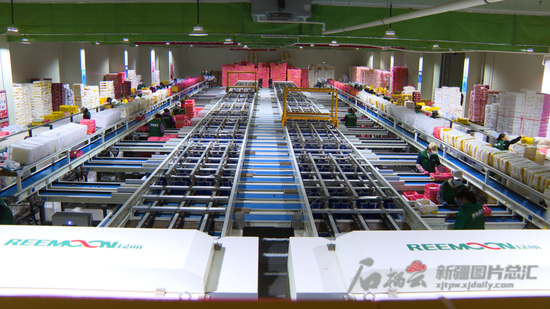 在伽师县粤伽新梅产业园里，全自动化伽师新梅分拣生产线一角。通讯员 刘磊 摄
