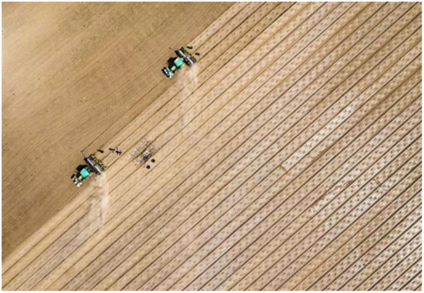 現代農業“加速跑” 科技賦能產業興