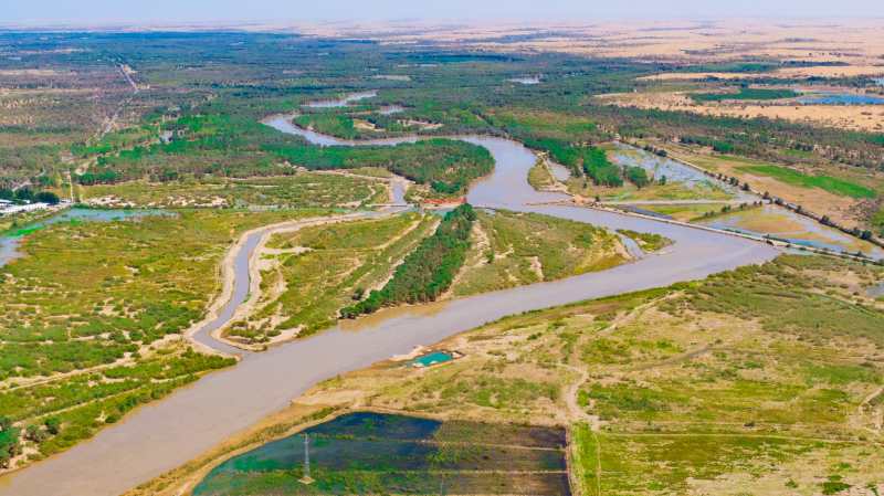 8月18日，在新疆尉犁县喀尔曲尕乡境内的塔里木河乌斯满饮水枢纽，泥黄色的河水奔流不止，与周边绿洲和湿地形成了明显的颜色反差。常学辉摄