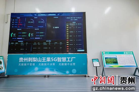 “5G+刺梨” 数字赋能助力贵州刺梨产业“升级”