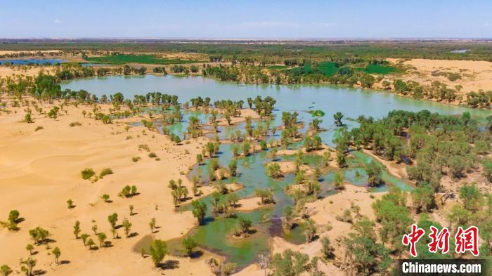 8月中旬以来，在新疆尉犁县喀尔曲尕乡境内，正处主汛期的塔里木河在沙漠与绿洲间蜿蜒流淌。　常学辉　摄