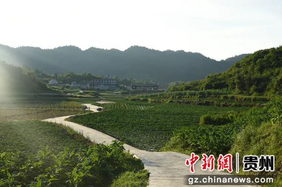 图为荔湾区龙里县共建现代农业产业园  贵州省投促局 供图