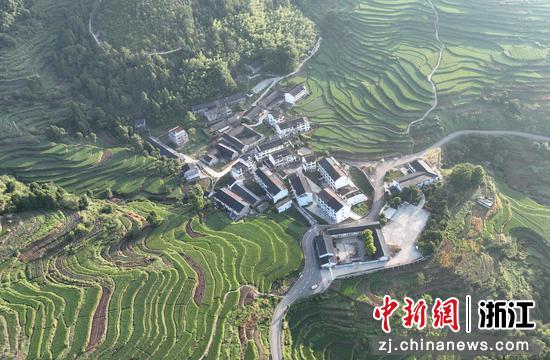 从空中俯瞰台州市仙居县朱溪镇杨丰山村层层叠叠的梯田。（无人机照片） 陈月明（通讯员） 摄