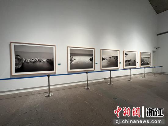 现场展出的作品 浙江省摄影家协会供图