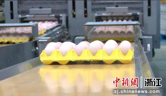 越西县生产的鸡蛋。 林晨雨供图