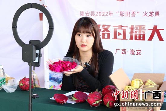 网红达人“小阿甜在广西”直播介绍火龙果。