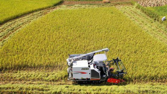 机械化收割水稻   沿河县委宣传部供图