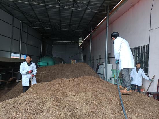 大方县羊场镇新田村村民在制作菌棒原材料。 石小杰  摄